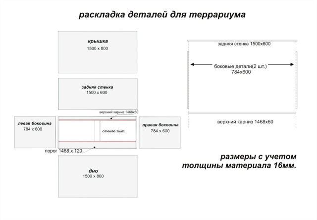 Аргентинский тегу  – фото, описание, ареал, содержание, купить, отзывы