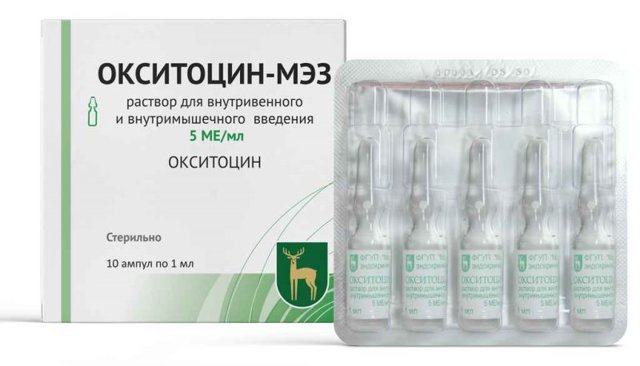 Беременность у кошки – признаки, длительность, принятие родов