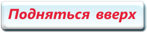 Большая панда - фото, описание, ареал, рацион, враги, популяция