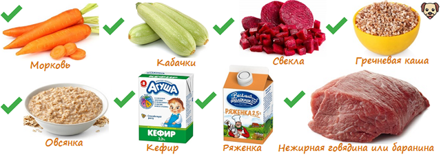 Чем кормить французского бульдога – правильный рацион, рекомендации