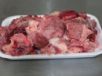 Чем кормить лабрадора – правильный рацион, рекомендации