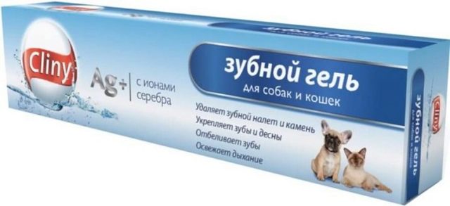 Чистка зубов кошки – советы и рекомендации