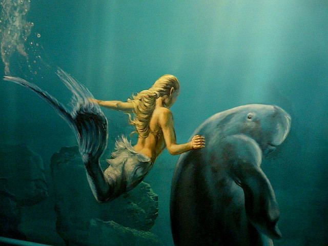 Дюгонь – фото, описание, ареал, рацион, враги, популяция