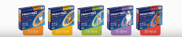 Фронтлайн для собак – описание, назначение, инструкция, побочные действия