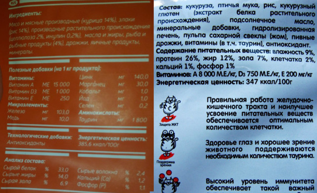 Холистик корма для кошек – преимущества, рейтинг, рекомендации