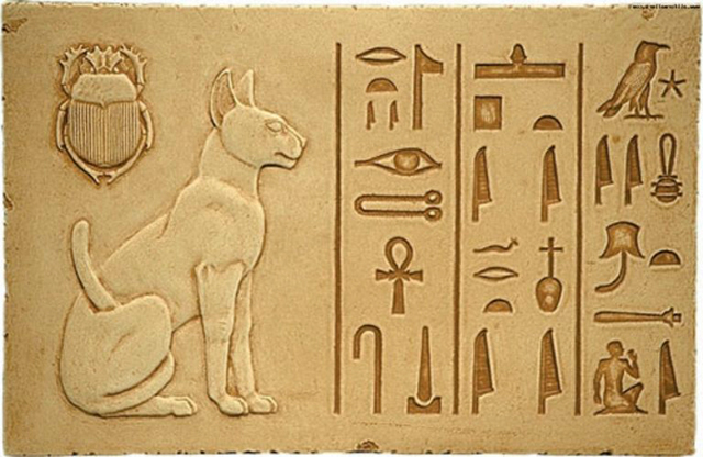 История одомашнивания кошки