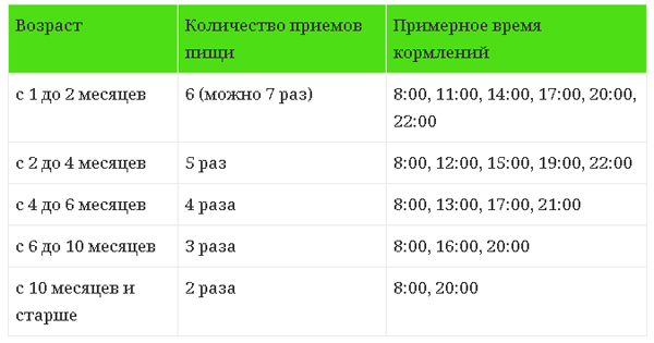 Как и чем кормить щенка – советы и рекомендации