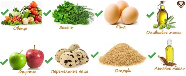 Как и чем кормить щенка – советы и рекомендации