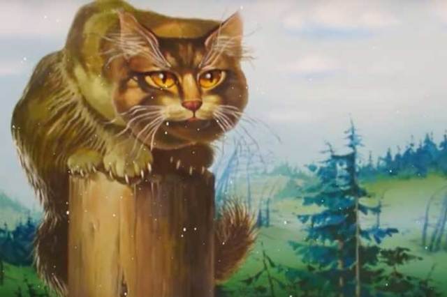 Как назвать трехцветного котенка. Клички для трехцветных котят