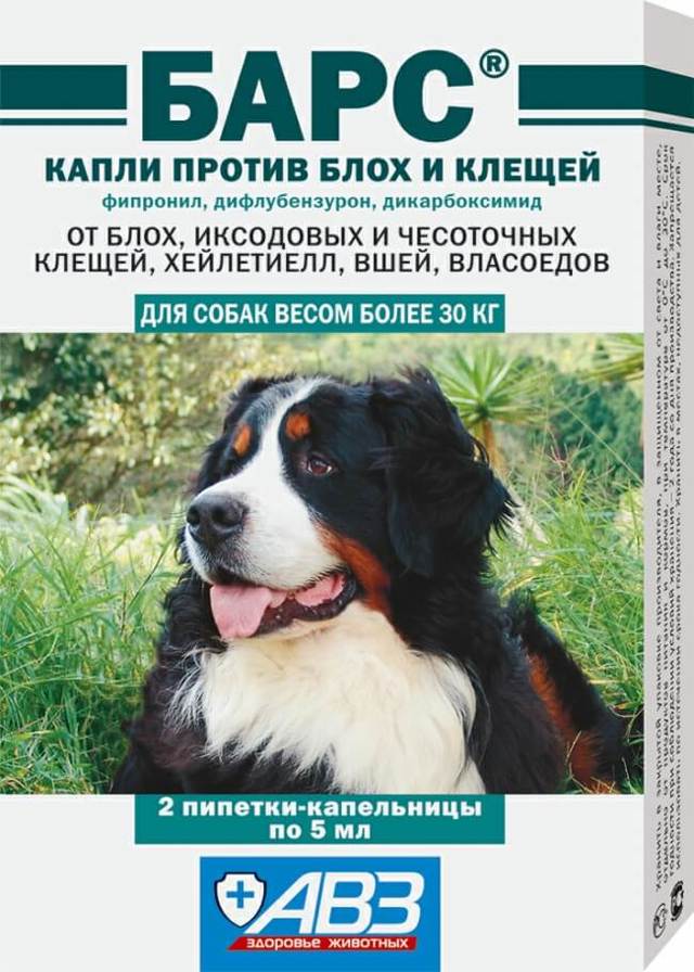 Капли Барс для собак – назначение, инструкция, отзывы