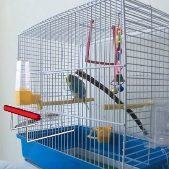 Клетка для волнистого попугая – выбор, место, наполнение