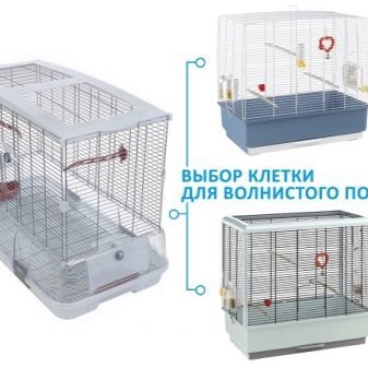 Клетка для волнистого попугая – выбор, место, наполнение