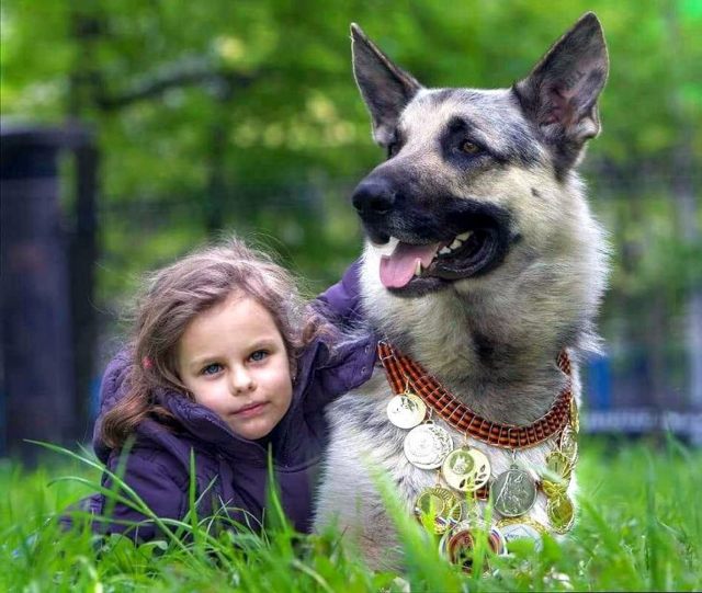 Клички для собак или как назвать щенка