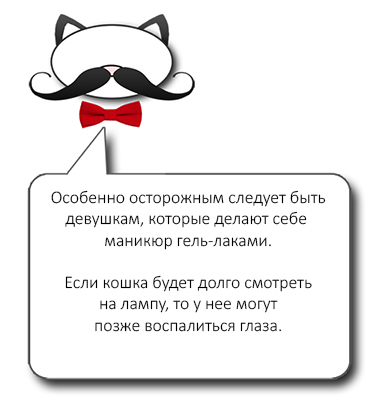Конъюнктивит у кошек - симптомы, лечение