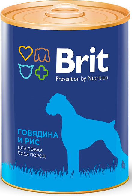 Корм для собак – виды и типы кормов, советы и рекомендации