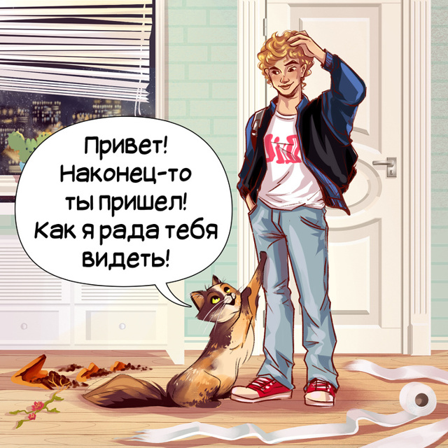 Кошка рычит и шипит – причины, действия