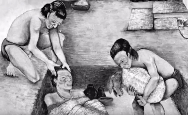 Ксолоитцкуинтли: фото, описание, характер, содержание, отзывы