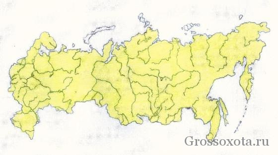 Ласка - фото, описание, ареал, рацион, враги, популяция