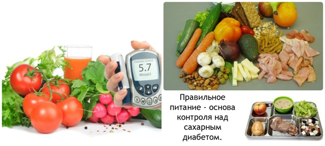 Лемур Лори – фото, описание, ареал обитания, содержание, купить