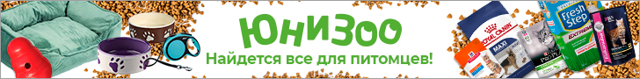 Ленивец – фото, описание, ареал обитания, питание, содержание