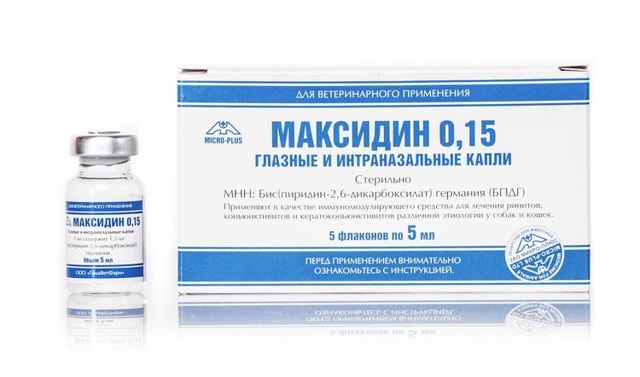 Максидин для кошек – назначение, инструкция, отзывы