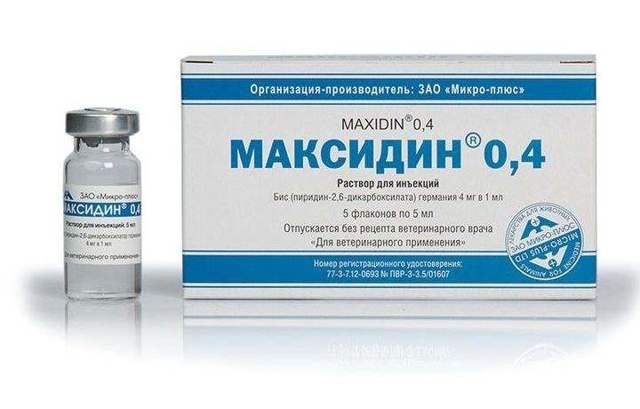 Максидин для кошек – назначение, инструкция, отзывы