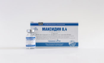 Максидин для кошек – назначение, инструкция, отзывы