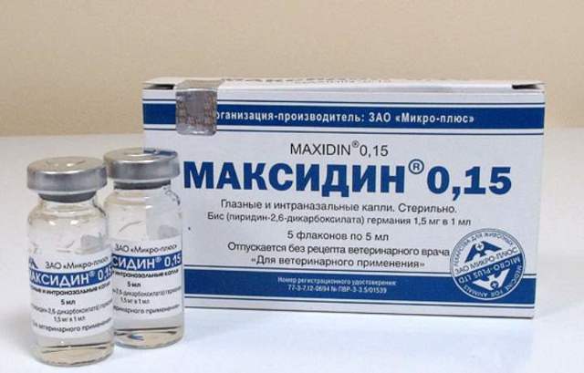 Максидин для кошек – назначение, инструкция, отзывы