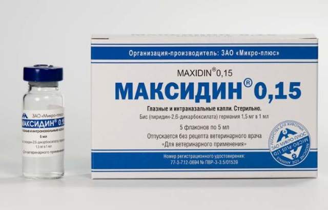 Максидин для кошек – назначение, инструкция, отзывы