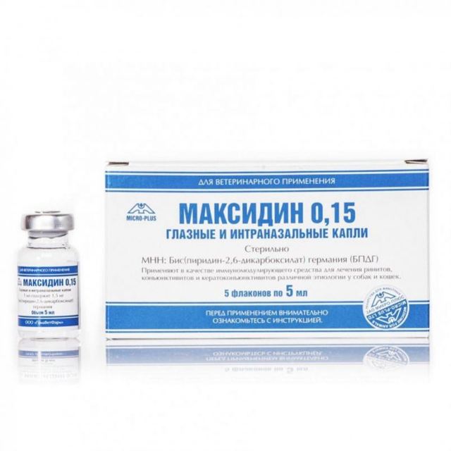 Максидин для кошек – назначение, инструкция, отзывы
