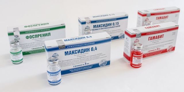 Максидин для кошек – назначение, инструкция, отзывы
