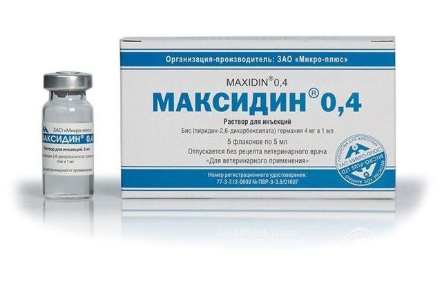 Максидин для кошек – назначение, инструкция, отзывы