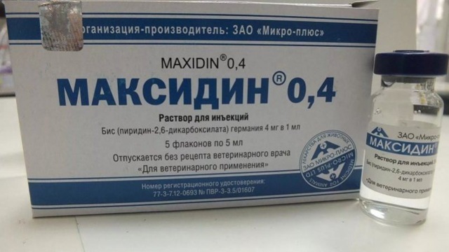 Максидин для кошек – назначение, инструкция, отзывы