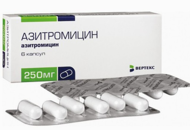 Микоплазмоз у кошек – описание, симптомы, лечение, профилактика