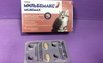 Мильбемакс для кошек – назначение, инструкция, отзывы