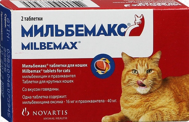 Мильбемакс для кошек – назначение, инструкция, отзывы