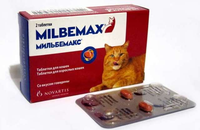 Мильбемакс для кошек – назначение, инструкция, отзывы