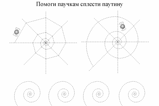 Паутина пауков – для чего и зачем нужна паутина