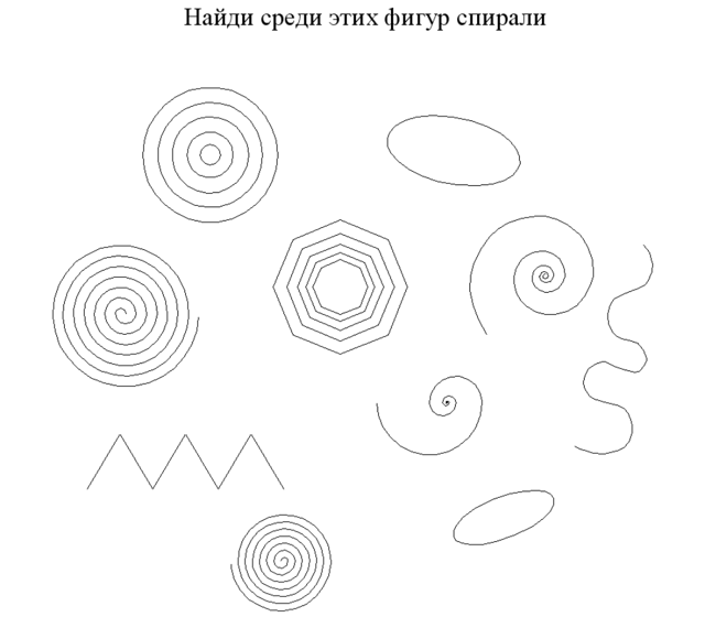 Паутина пауков – для чего и зачем нужна паутина