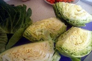 Полезные фрукты и овощи для собак