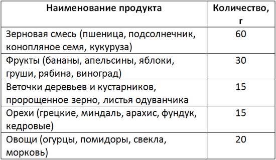 Попугай Ара – фото, описание, содержание, питание, купить