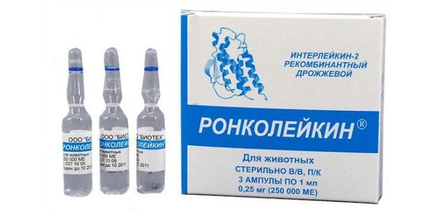 Ронколейкин для кошек – назначение, инструкция, отзывы