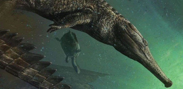 Сходства и различия крокодила и аллигатора