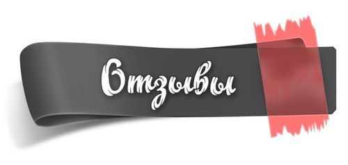 Сиамская кошка: фото, описание, характер, содержание, отзывы