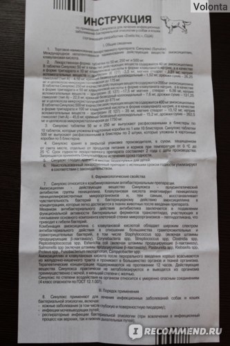 Синулокс для кошек – назначение, инструкция, отзывы