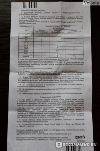 Синулокс для кошек – назначение, инструкция, отзывы