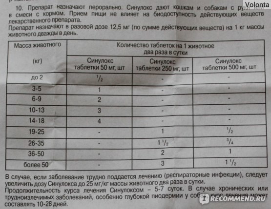 Синулокс для кошек – назначение, инструкция, отзывы