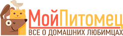 Сколько спят кошки. Продолжительность сна у кошек