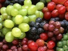 Сладкое для собаки – вредно или полезно