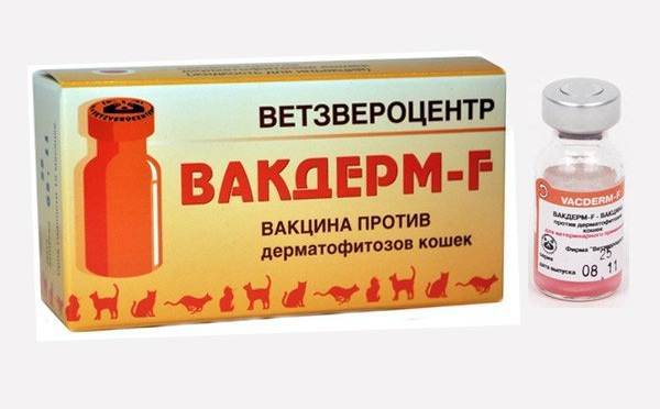 Вакдерм – назначение, инструкция, противопоказания, отзывы